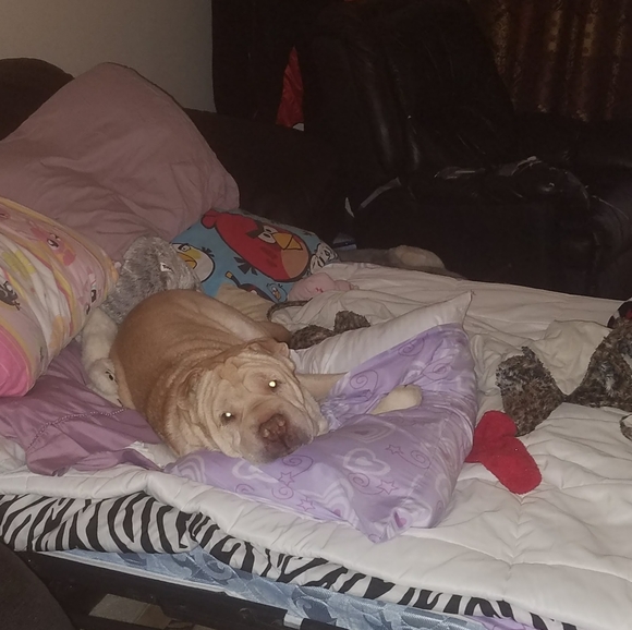 ✌♥🇺🇸♥🇺🇸♥🇺🇸♥✌ - Picture 3 of 14